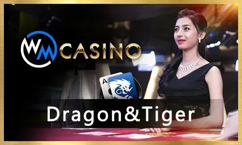 JLJL5 Casino Games